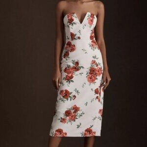 Anthropologie Sachin & Babi Nora Rose Strapless Notch Neck Taffeta Dress, 12